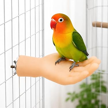 Amazon.co.jp 最新リリース: 鳥用止まり木 の新着ランキングです。